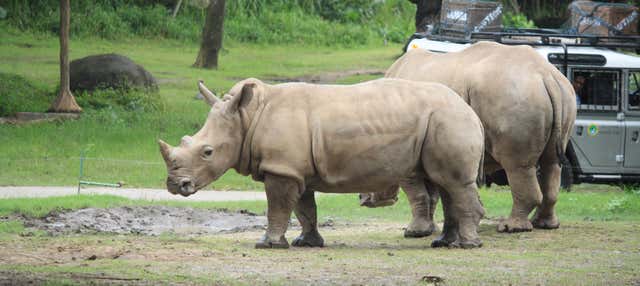 Ingresso do Safari and Marine Park