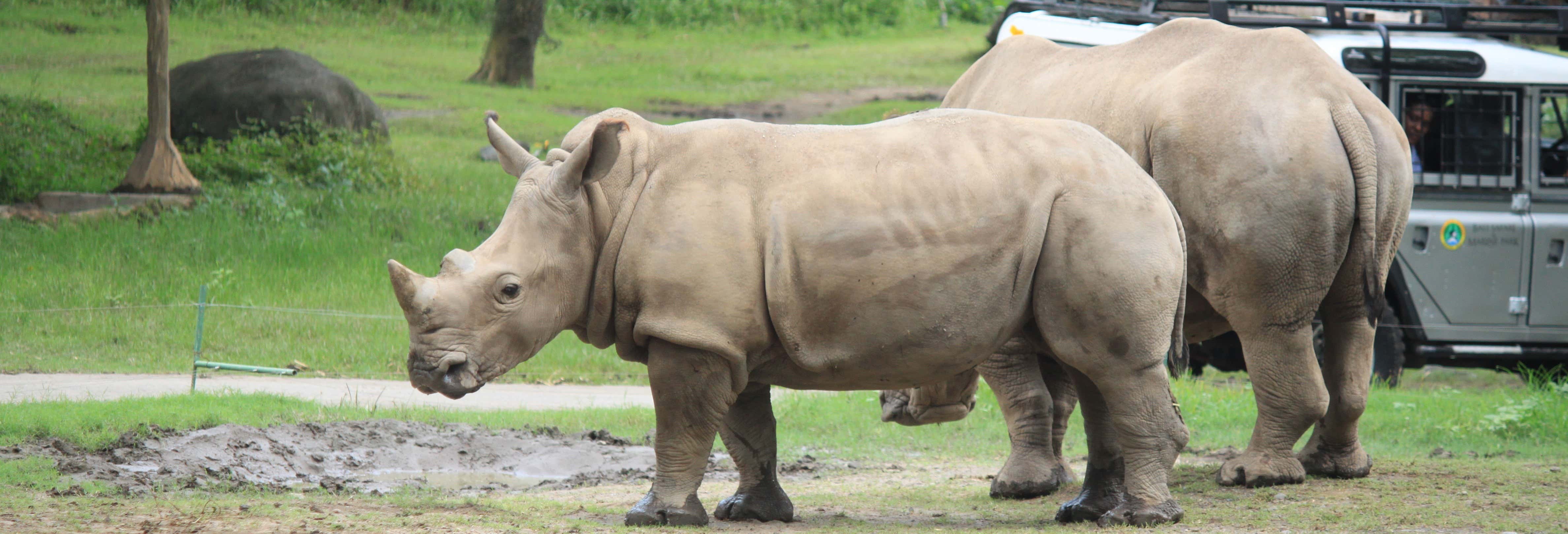 Billet pour le Safari and Marine Park