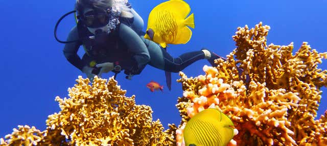 Immersione per principianti a Gili Trawangan