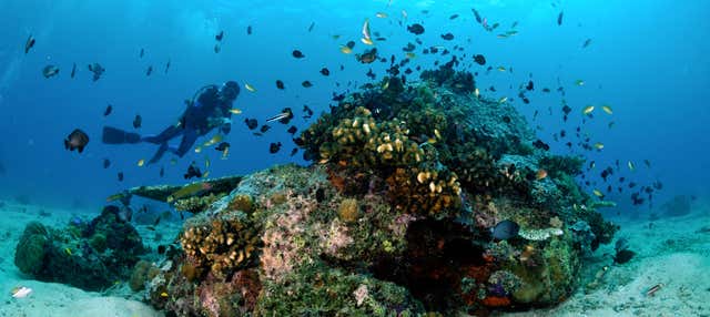 Corso di immersione PADI Open Water