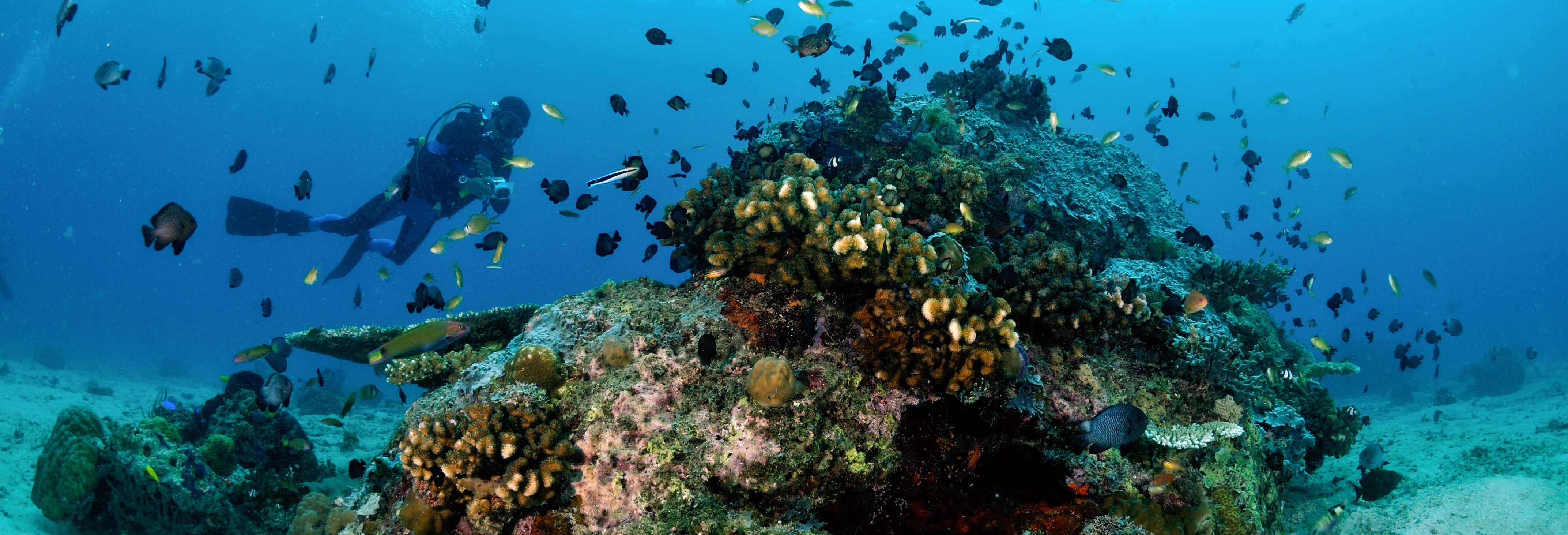 Corso di immersione PADI Open Water