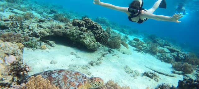 Snorkeling a Gili Meno