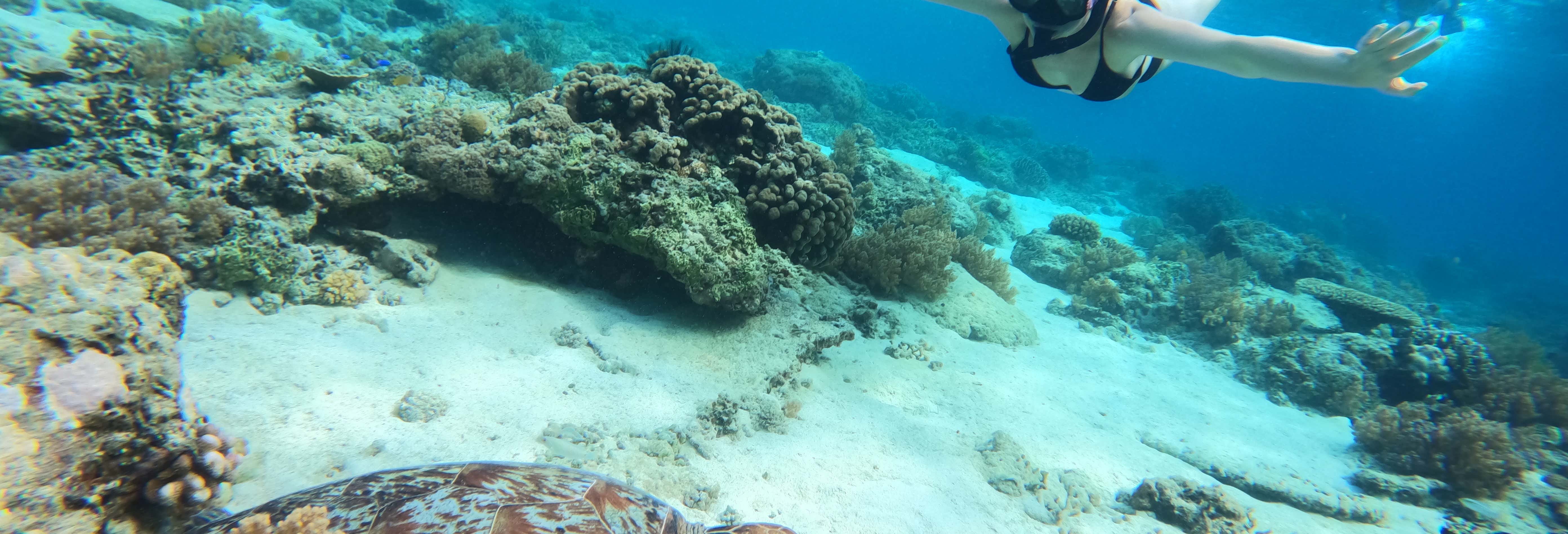 Snorkelling in Gili Meno