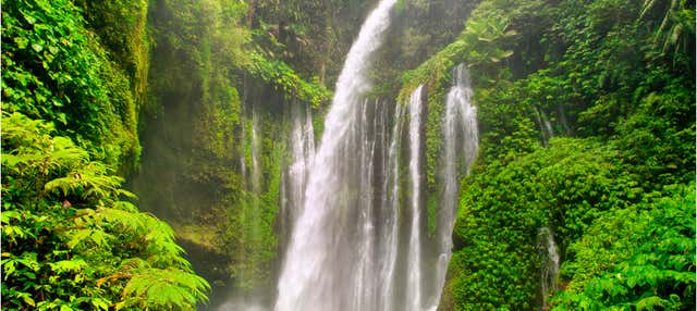 Escursione privata alle cascate di Senaru