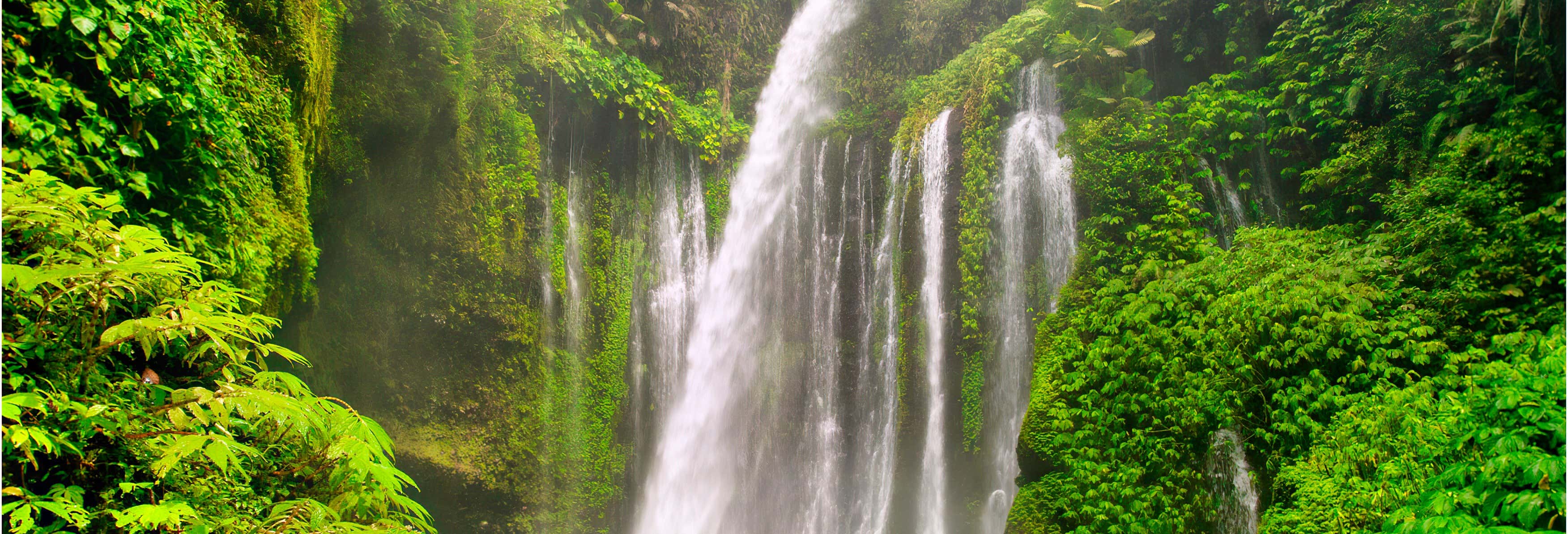 Escursione privata alle cascate di Senaru