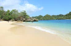 Excursiones, visitas guiadas y actividades en Java - Civitatis.com