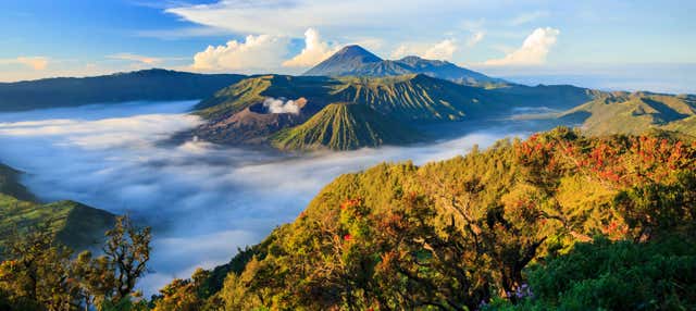 Tour privato di trekking sul monte Bromo