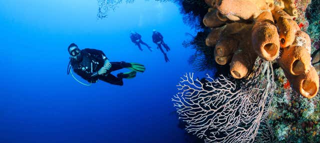 Immersione a Nusa Lembongan