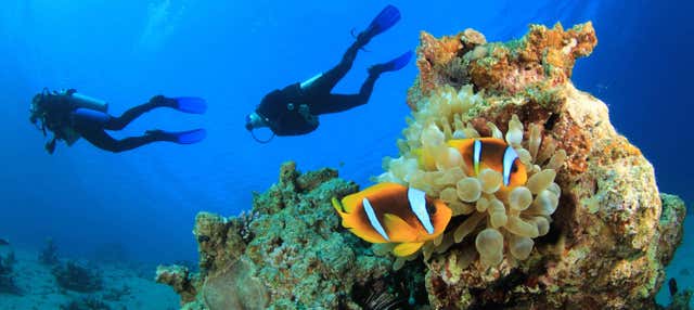 Corso di immersione PADI Open Water