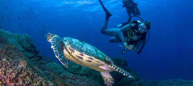 Corso PADI Discover Scuba Diving