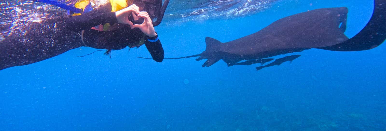 Snorkeling in Nusa Lembongan