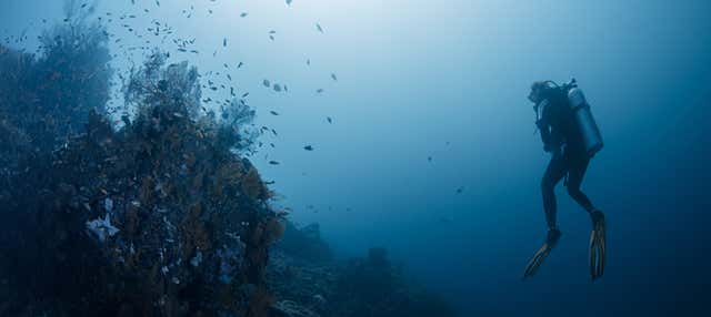 Scuba Diving in Bali