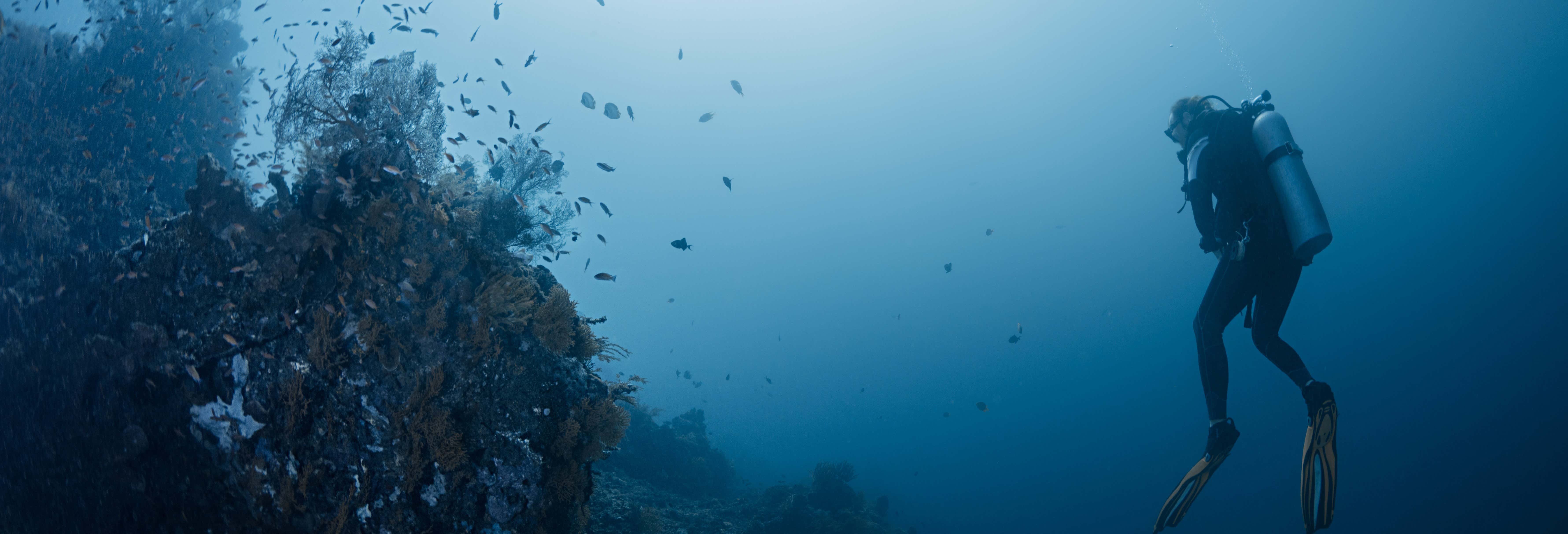 Buceo en Bali