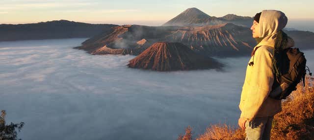 Escursione privata al Monte Bromo all'alba + Cascate Madakaripura