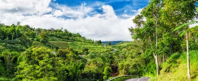 Alquiler de coche con conductor en Bali