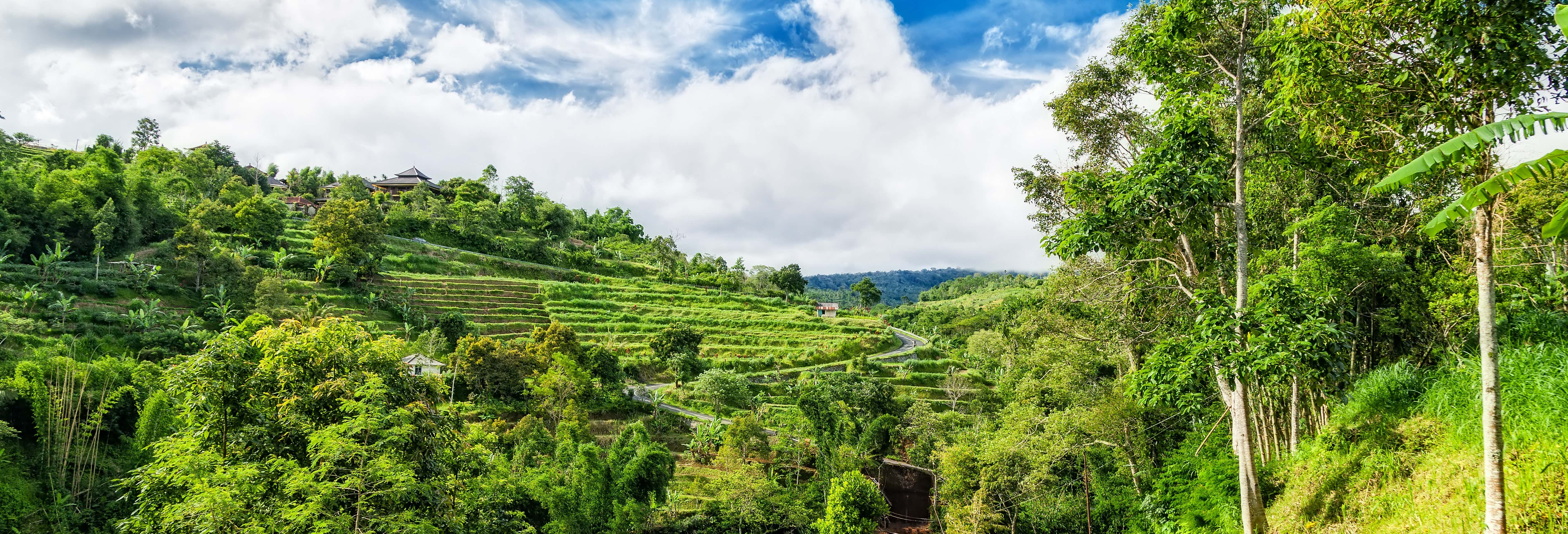 Bali Private Car Rental with Driver