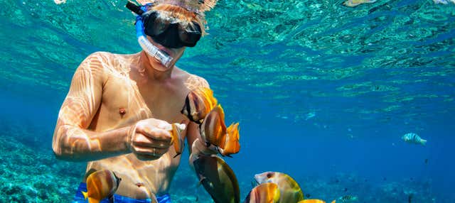 Snorkel en Nusa Penida y Nusa Lembongan