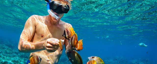 Snorkel en Nusa Penida y Nusa Lembongan