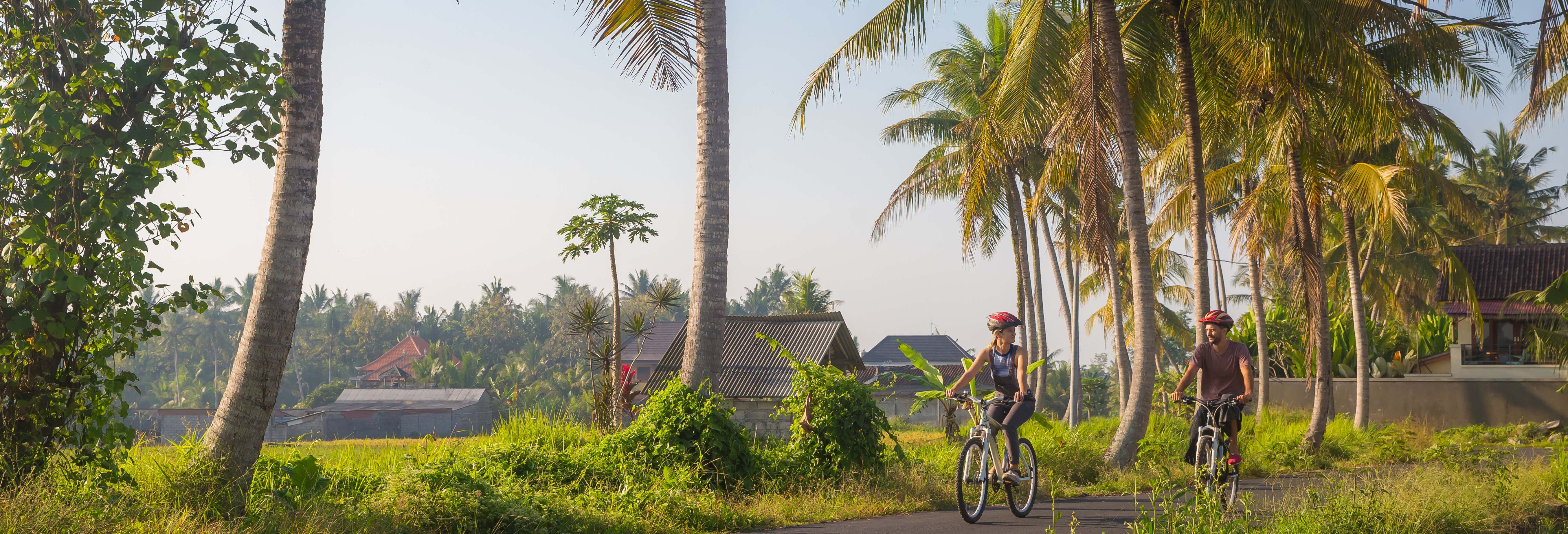 Balade à vélo à Ubud et Kintamani 
