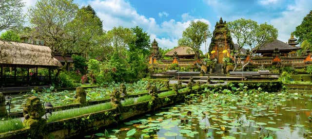 Ubud Guided Tour