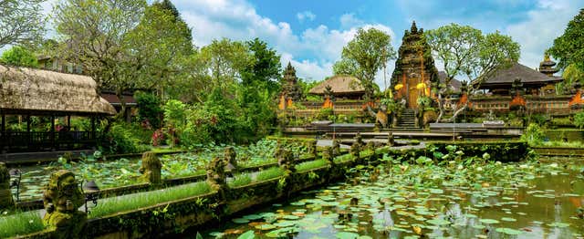 Visita guiada por Ubud