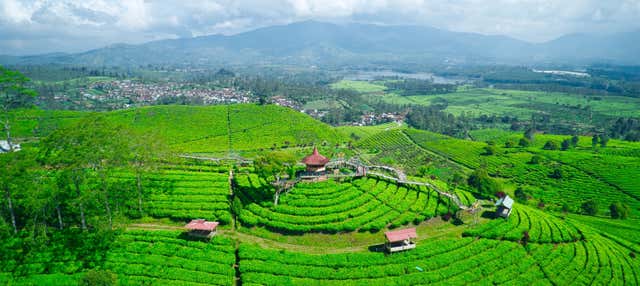 Escursione privata a Tangkuban Perahu