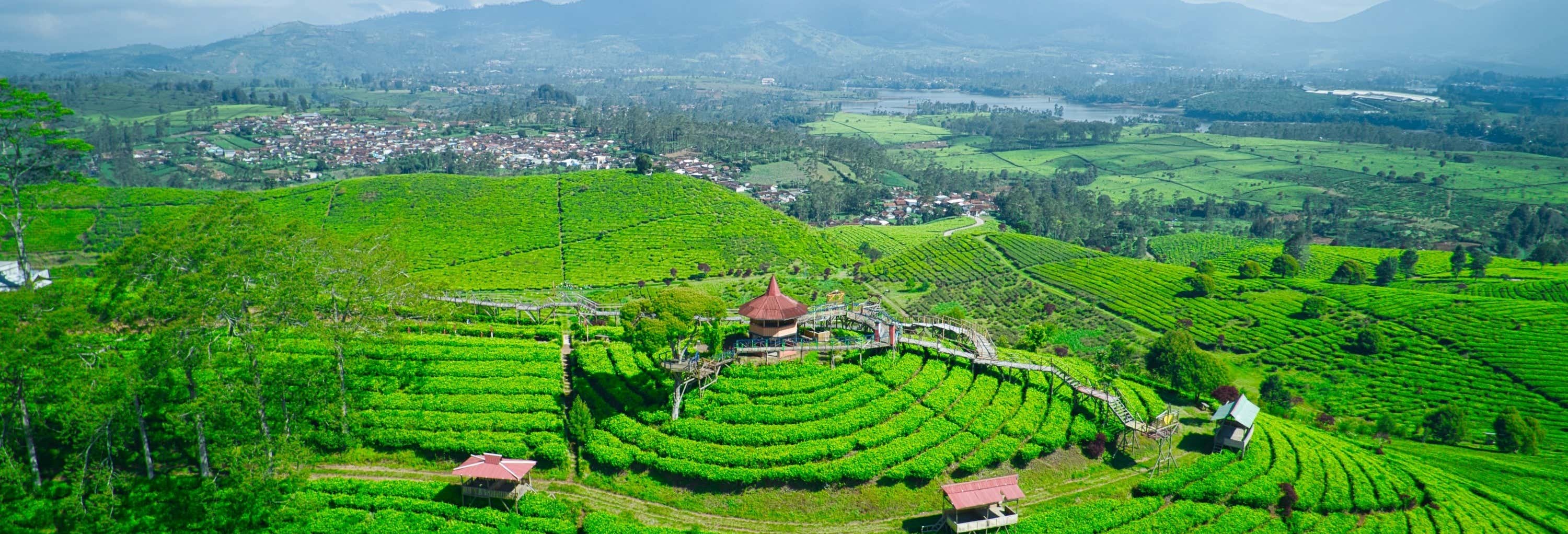 Escursione privata a Tangkuban Perahu