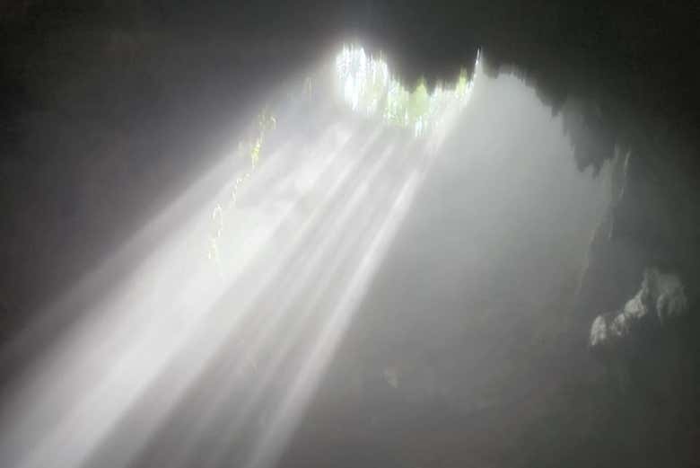 Imagen 5