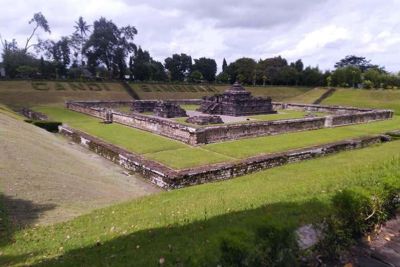 Imagen 7