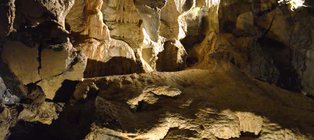 Visita della grotta di Aillwee + Centro Rapaci del Burren