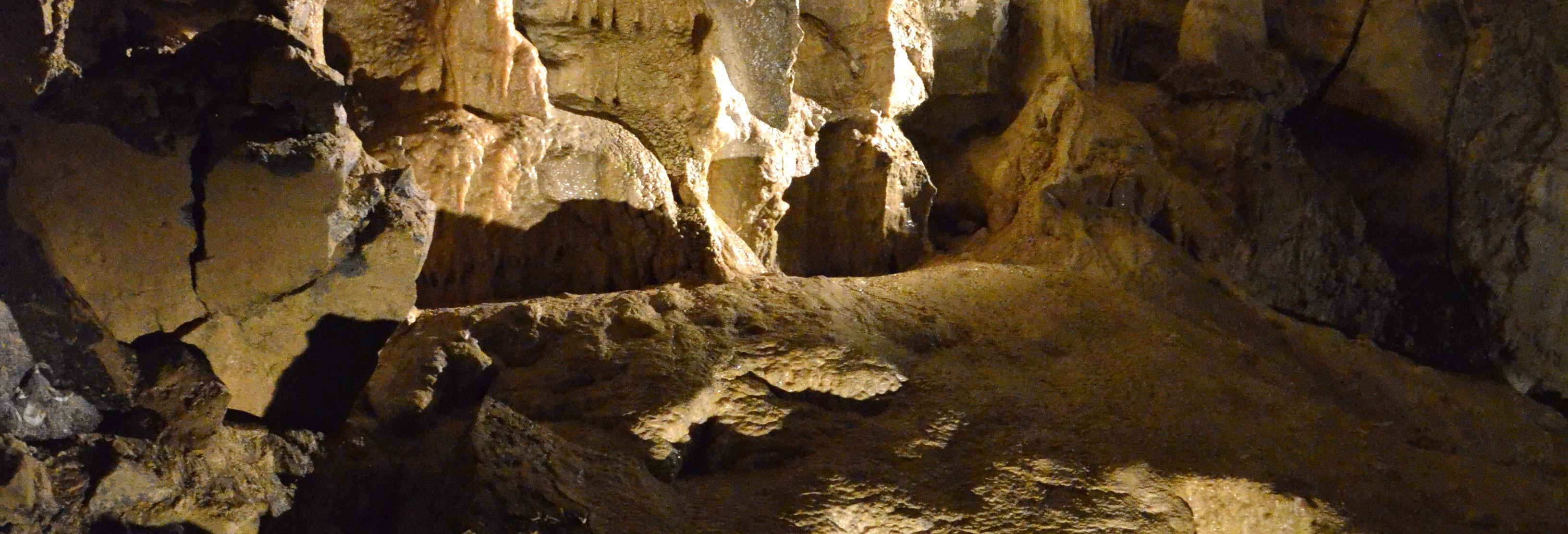 Aillwee Cave Tour + Burren Birds of Prey Centre