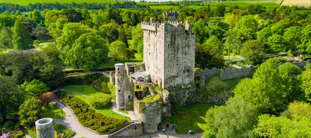 Visita guidata del castello di Blarney