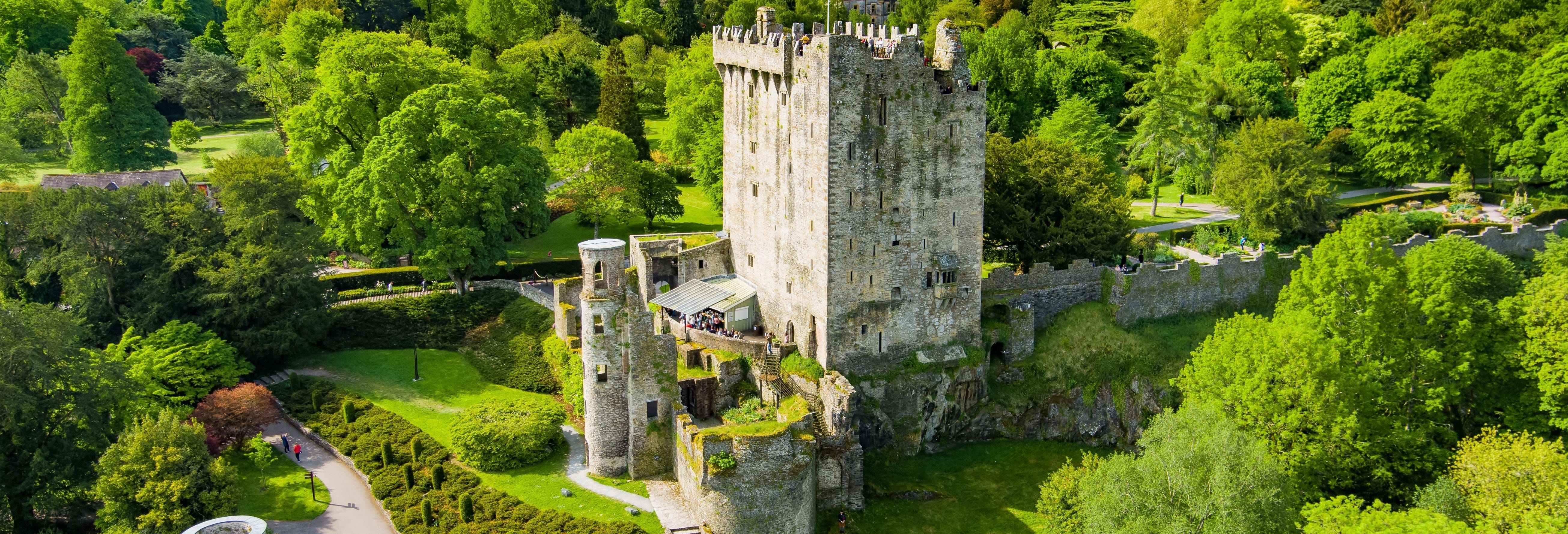 Blarney Castle + Town Guided Tour