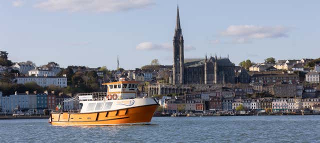 Giro in barca a Cork