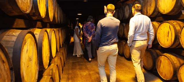 Tour del whiskey Jameson alla distilleria Midleton