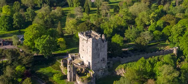Escursione al Castello di Blarney, Rocca di Cashel e Castello di Cahir