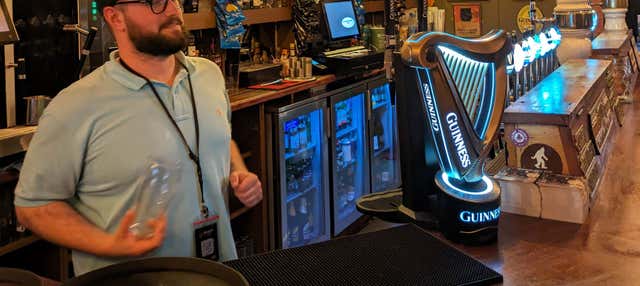 Tour por los pubs de Dublín + Clase de tirar pintas