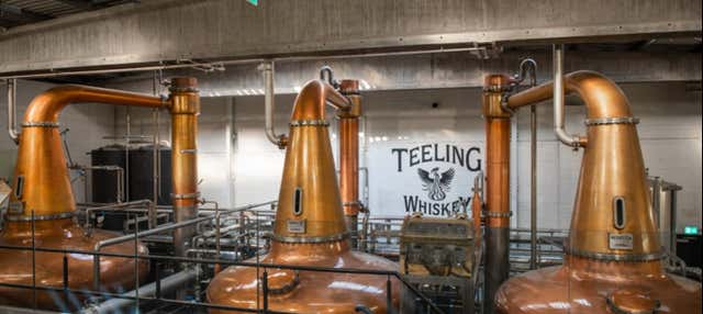 Visita alla distilleria Teeling