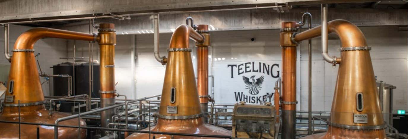 Visita alla distilleria Teeling