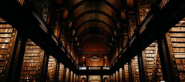 Tour di Dublino + Biblioteca del Trinity College e Book of Kells