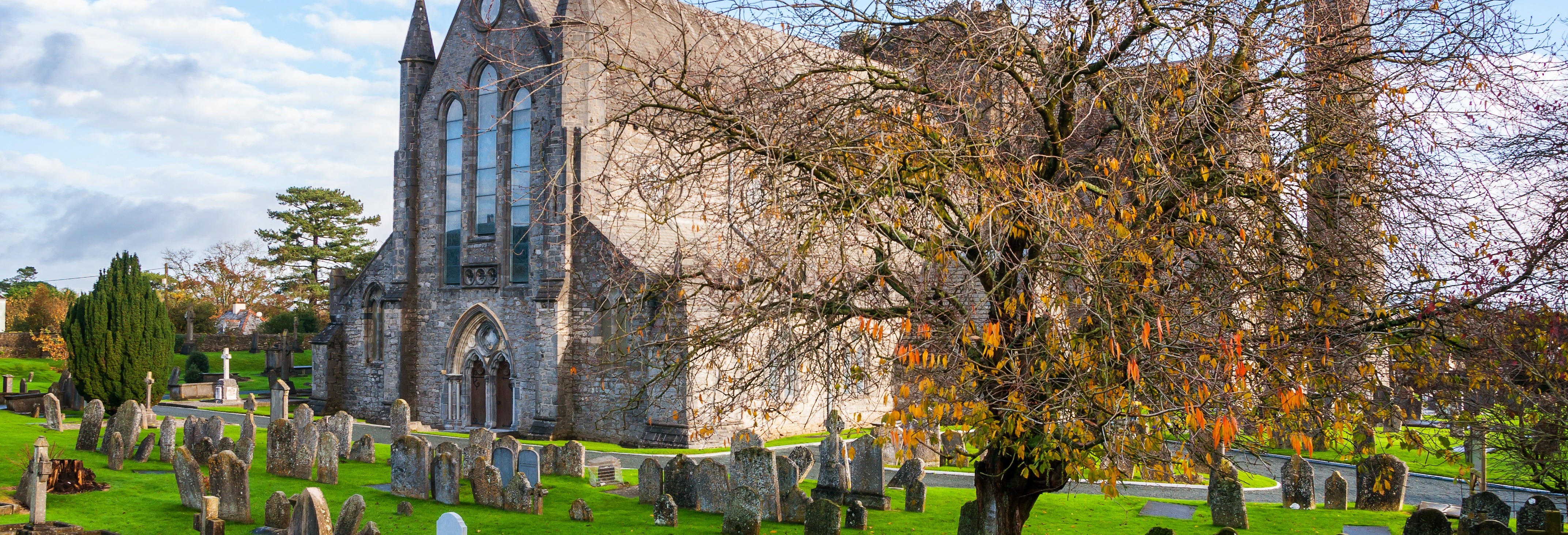 Kilkenny Guided Tour