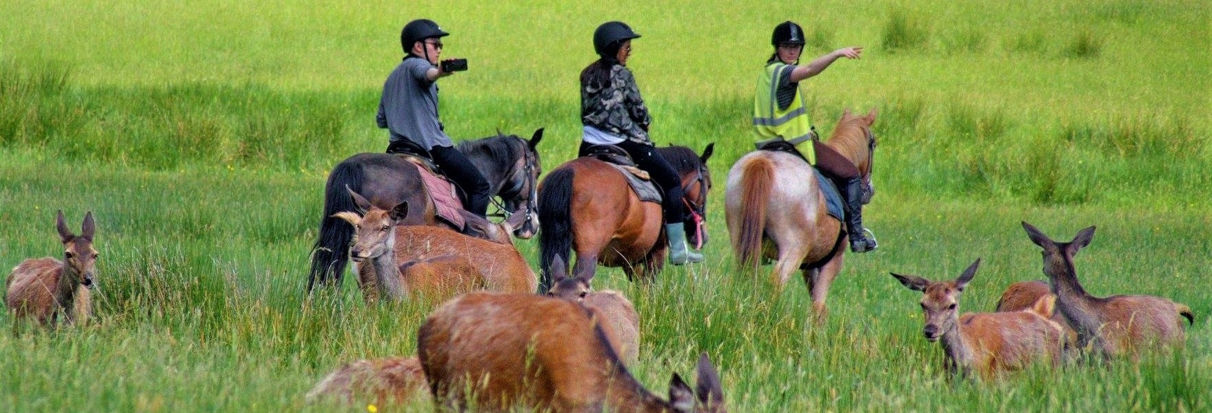 Killarney National Park Horseback Ride