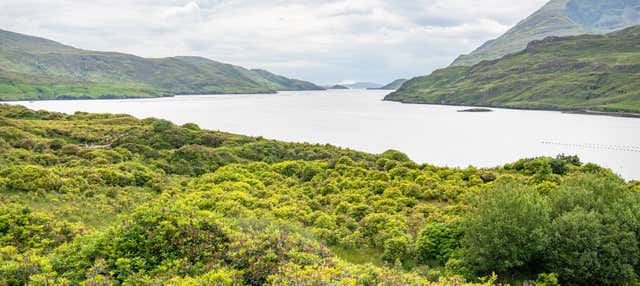 Tour in kayak al fiordo Killary