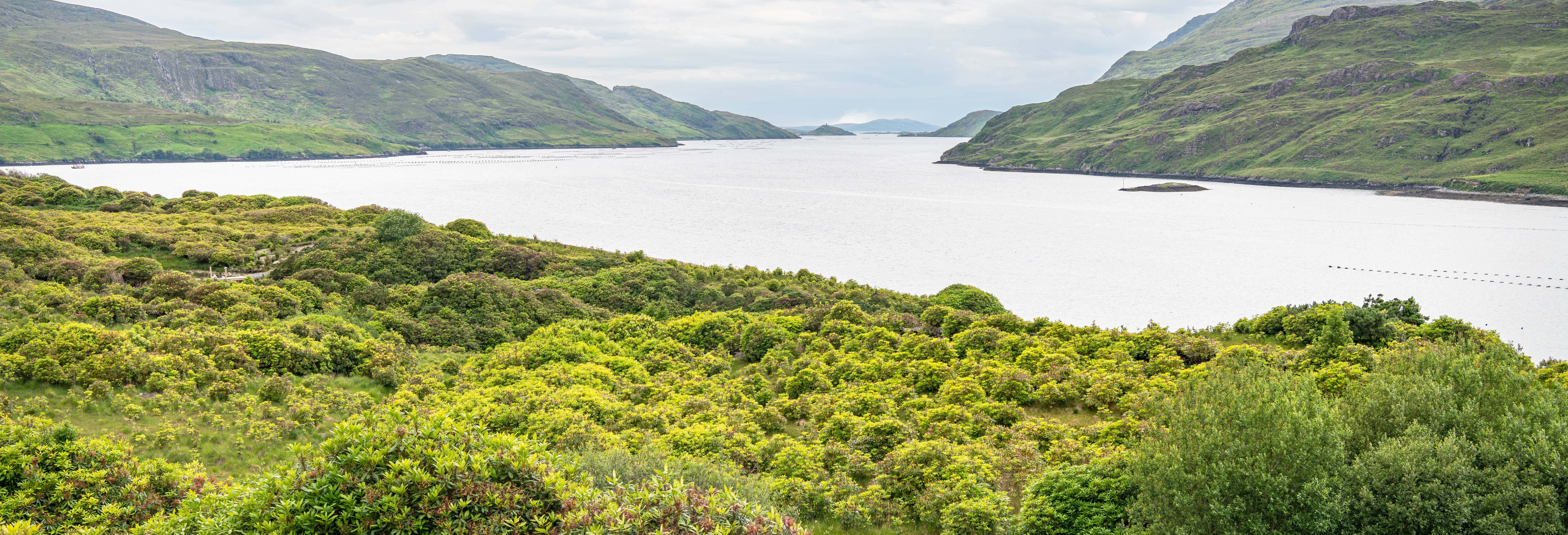 Killary Fjord Kayak Tour