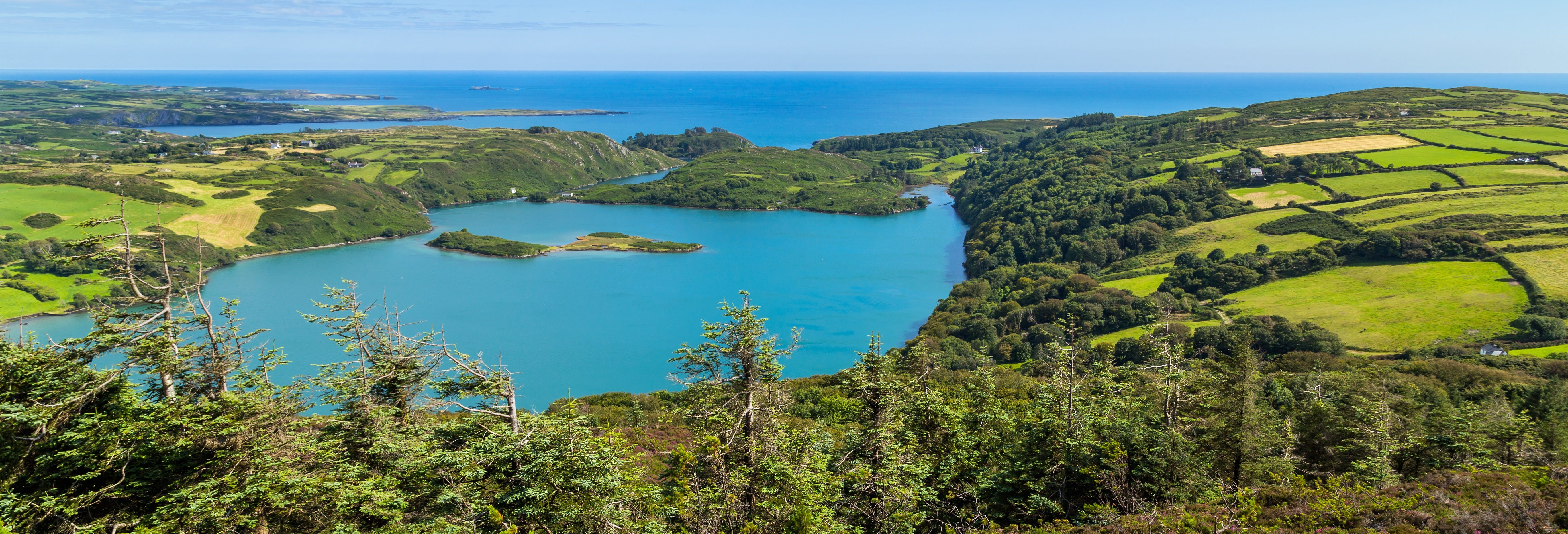 Lough Hyne Kayak Tour