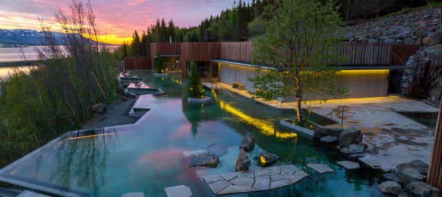 Biglietti per le terme di Forest Lagoon