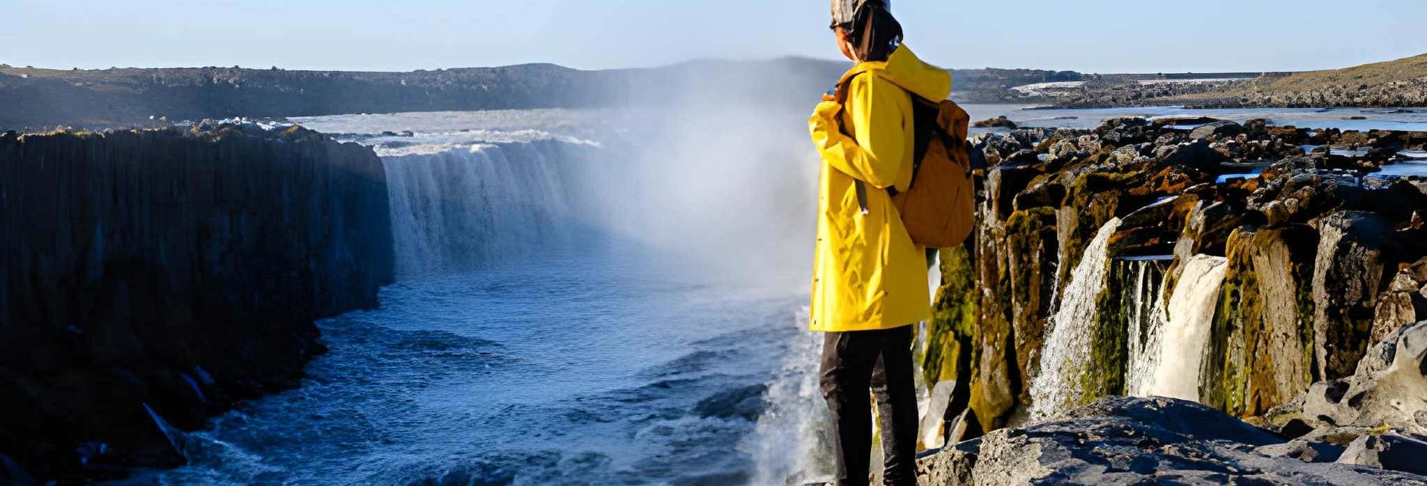 Escursione alle cascate Godafoss e Laufás per crocieristi