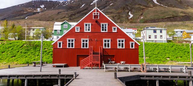 Escursione alla costa artica e alla penisola di Tröllaskagi