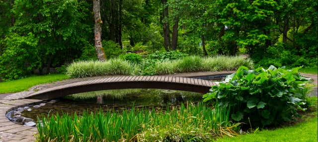 Escursione alla cascata Godafoss + Giardino Botanico di Akureyri