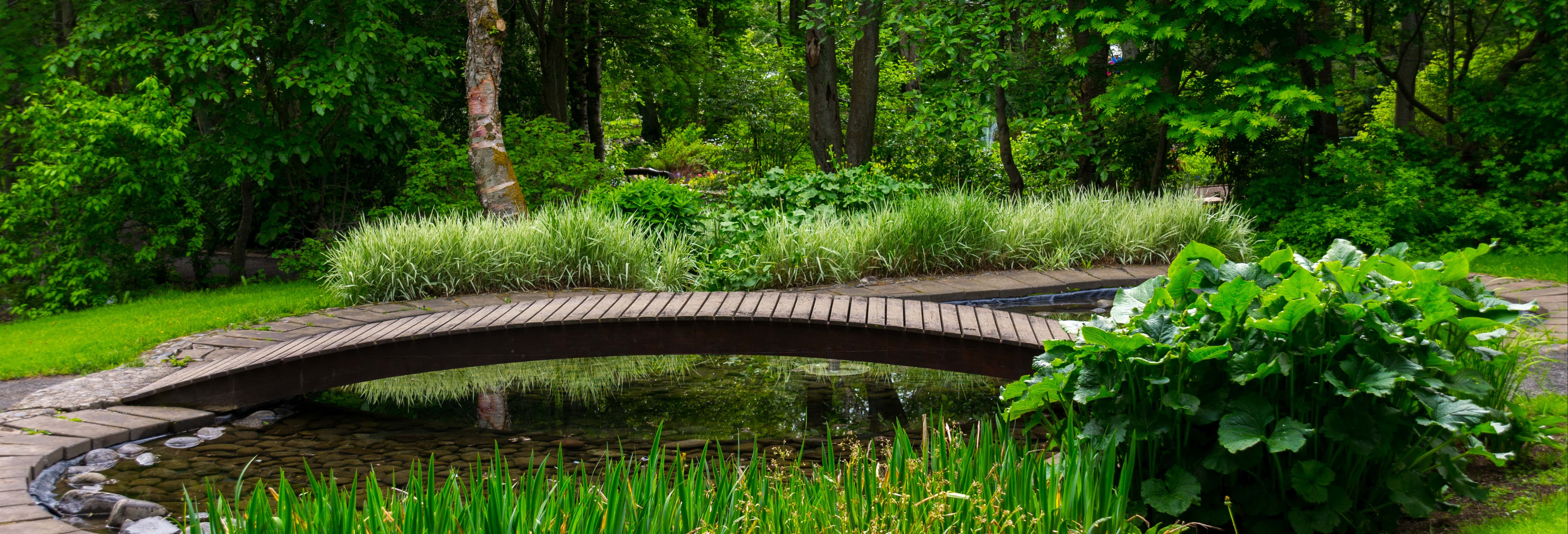 Escursione alla cascata Godafoss + Giardino Botanico di Akureyri